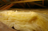 Torroy pitch roof insulation